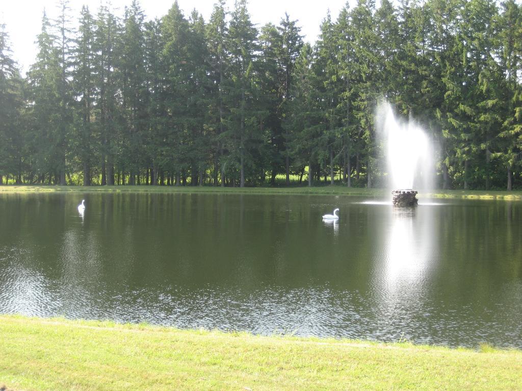 Fountain View Motel リッチフィールド・スプリングス エクステリア 写真