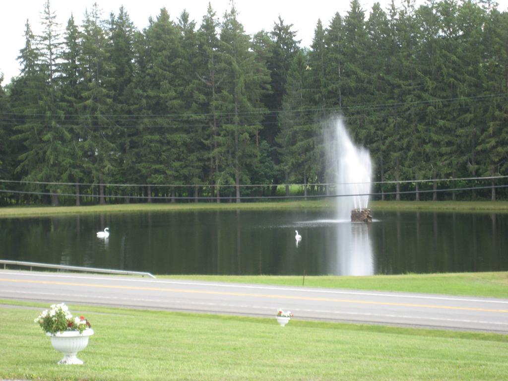 Fountain View Motel リッチフィールド・スプリングス エクステリア 写真